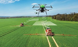 Nông nghiệp công nghệ cao – thực tế không như kỳ vọng (11/07/2024)